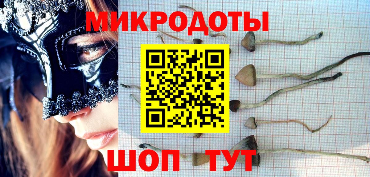 Псилоцибиновые грибы прущие грибы  Псилоцибиновые грибы MAGIC MUSHROOMS  где найти наркотики  Реутов  Вход с VPN 